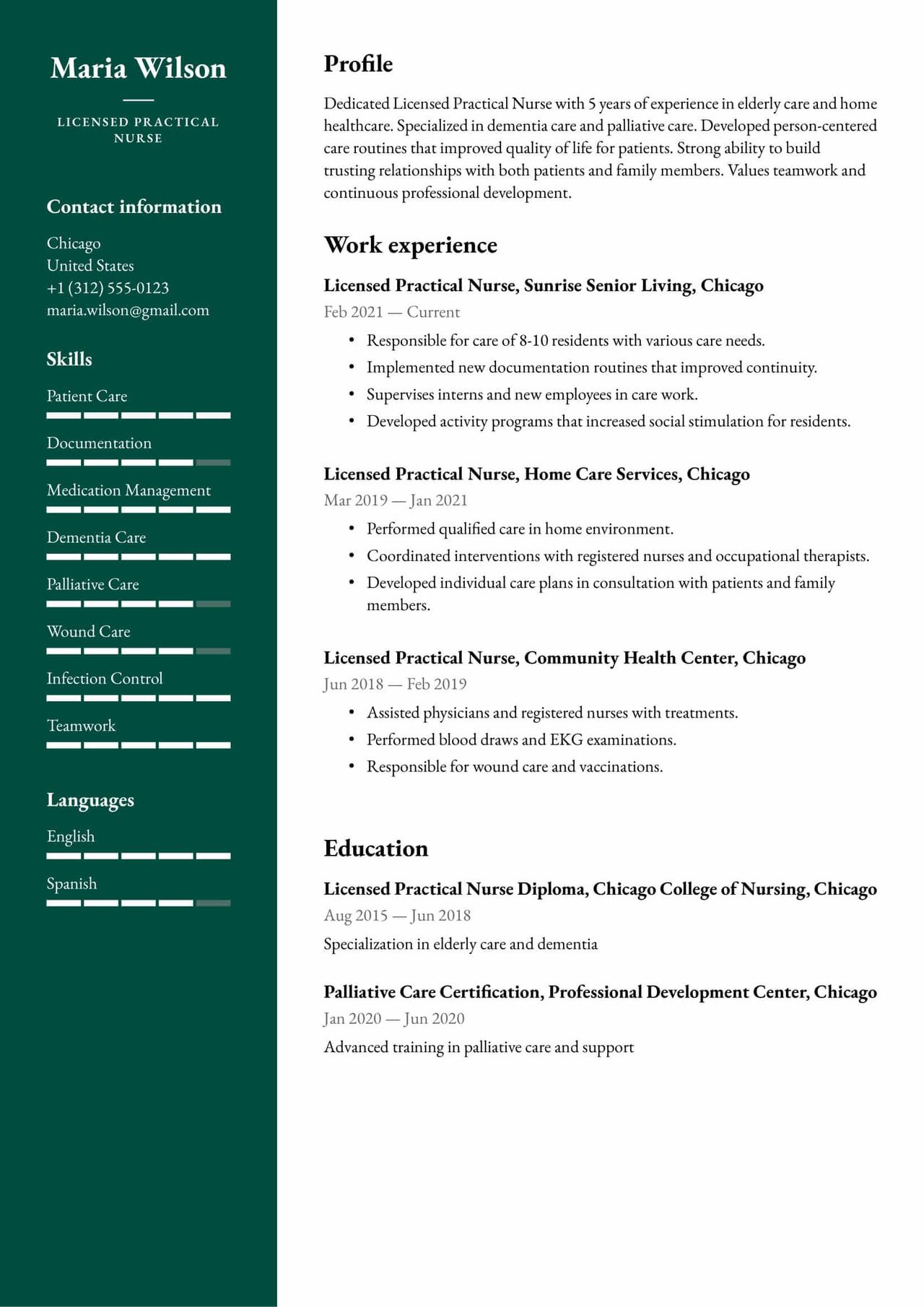 Functional Resume Format Example